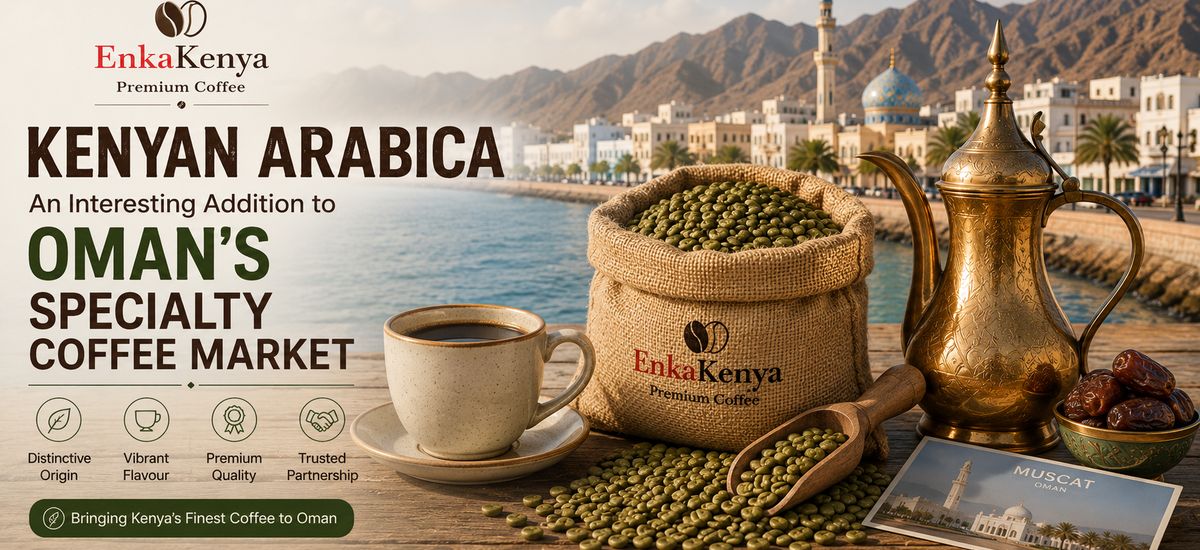 Kenyan Arabica coffee for Oman's specialty coffee market