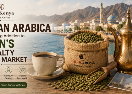Kenyan Arabica coffee for Oman's specialty coffee market