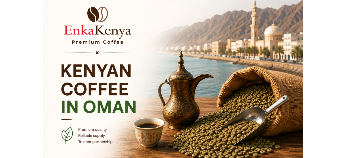 Kenyan Arabica green coffee beans for importers in Oman