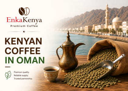 Kenyan Arabica green coffee beans for importers in Oman